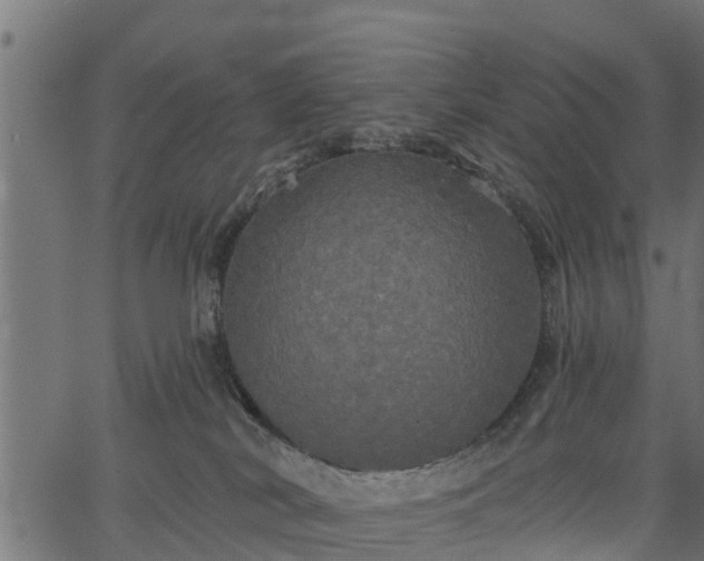 X0000066930038200603311403