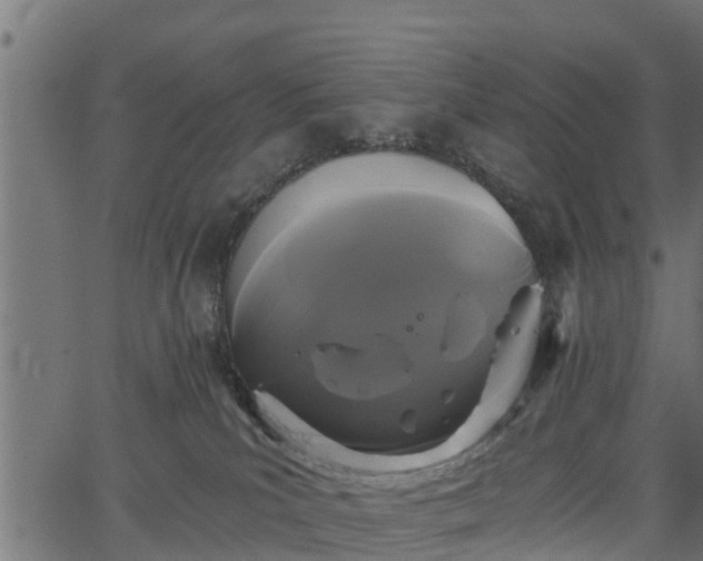 X0000066930039200603311403