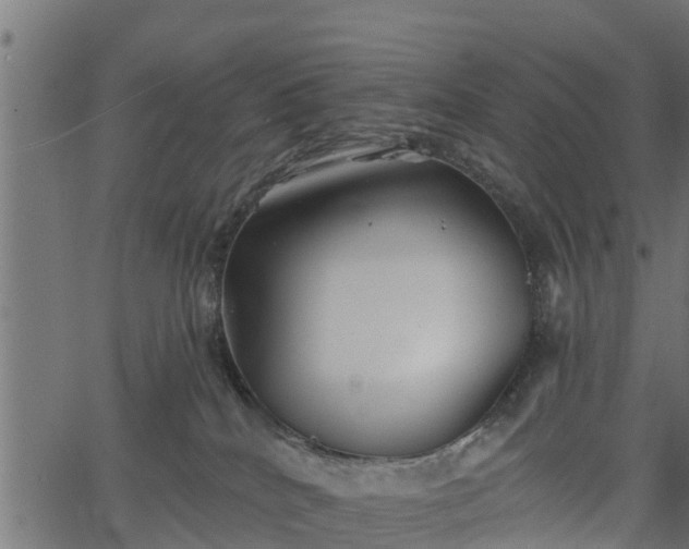 X0000066930040200603311403