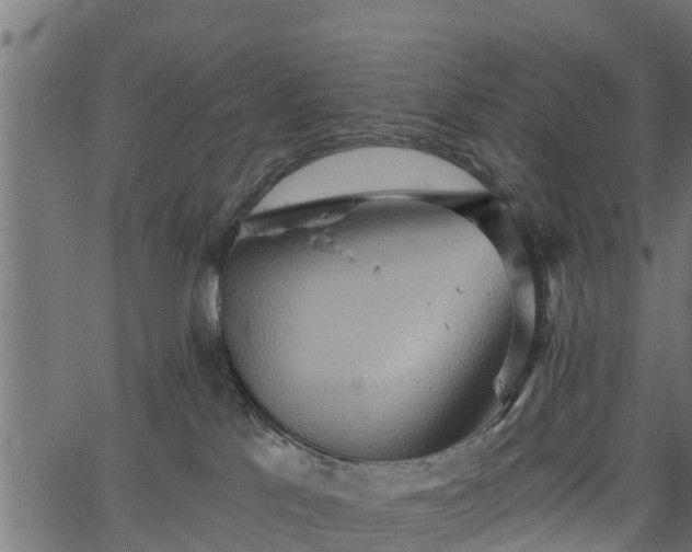 X0000066930041200603311403