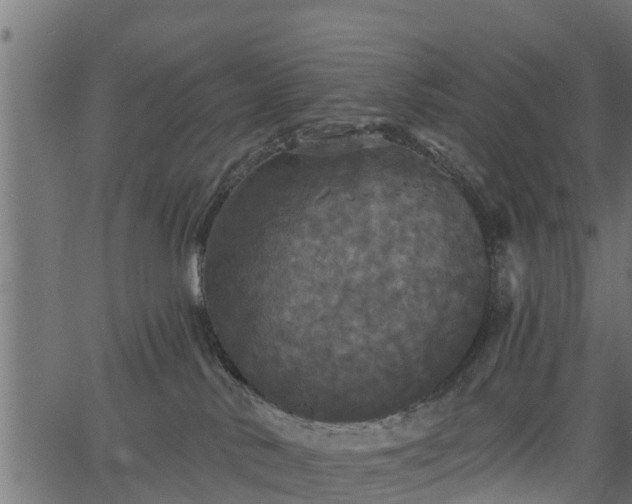 X0000066930042200603311403