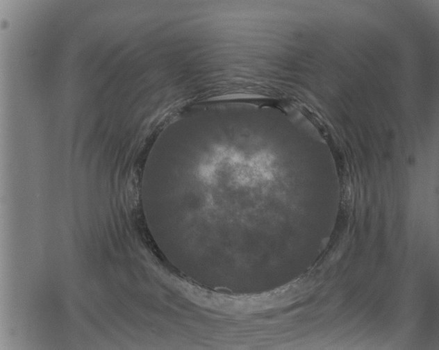 X0000066930043200603311403