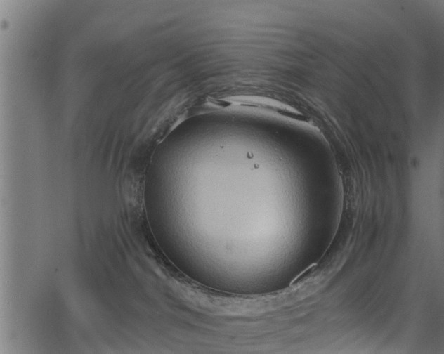 X0000066930044200603311403