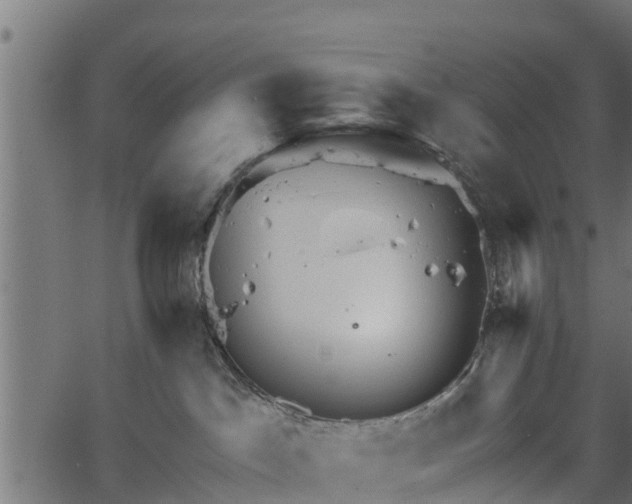 X0000066930045200603311403