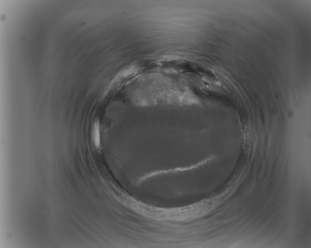 X0000066930046200603311403