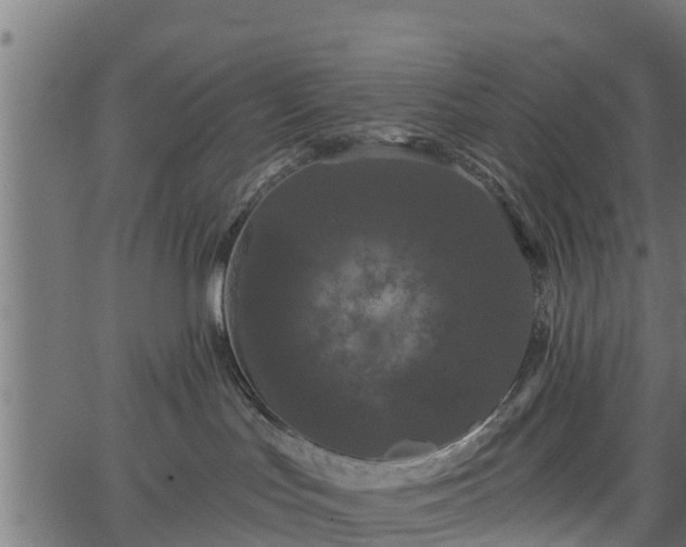 X0000066930047200603311403