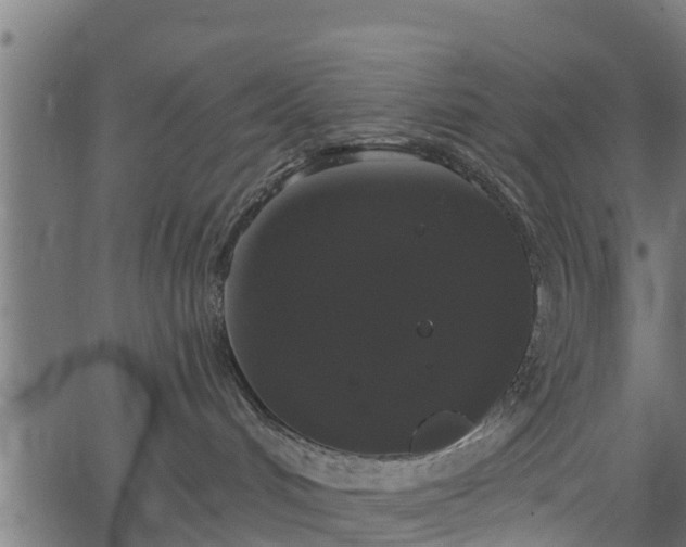 X0000066930048200603311403