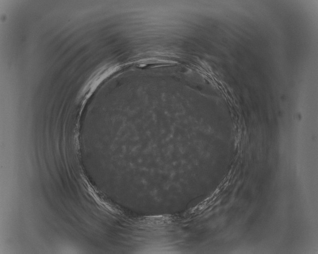 X0000066930050200603311402