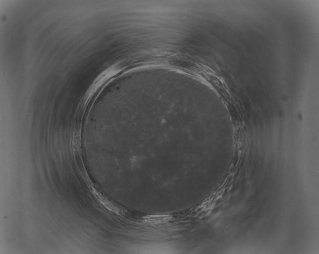 X0000066930051200603311402