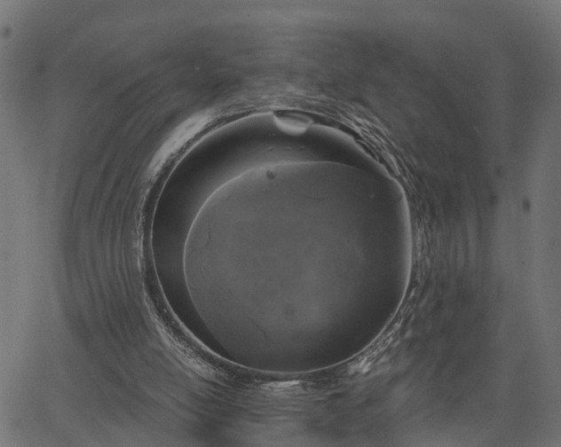 X0000066930054200603311402