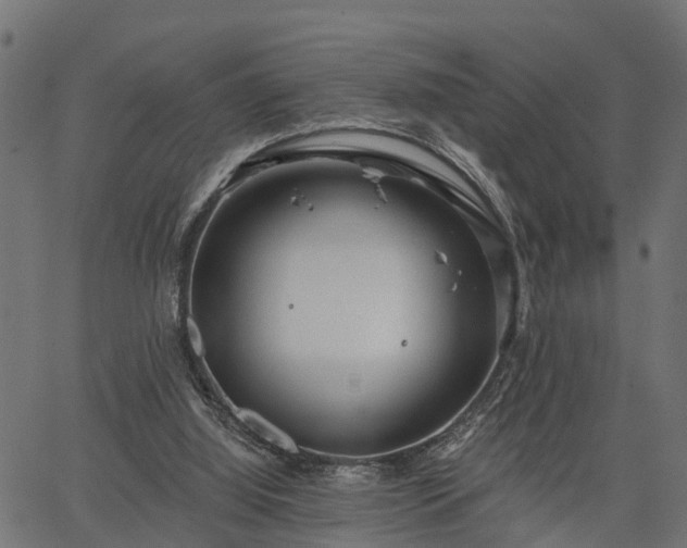 X0000066930060200603311402