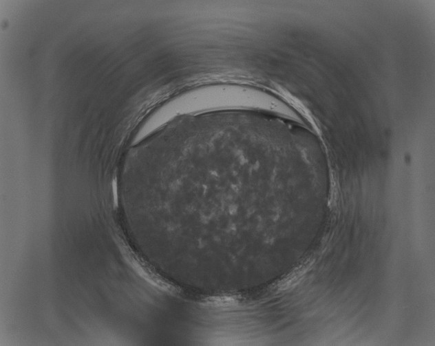 X0000066930061200603311402