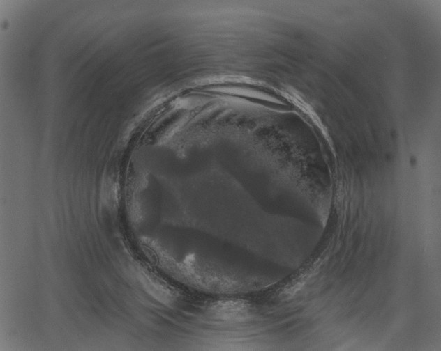 X0000066930063200603311402