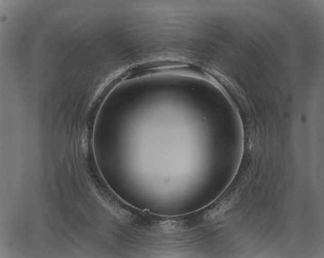 X0000066930064200603311402