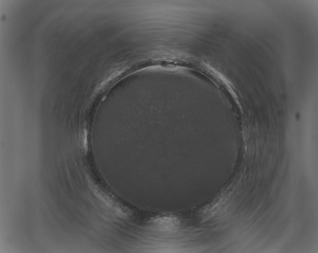 X0000066930067200603311402