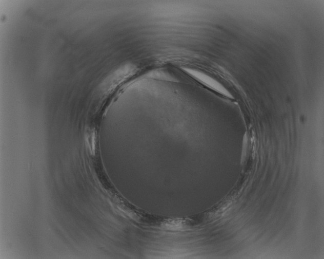 X0000066930076200603311402