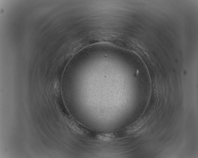 X0000066930079200603311402