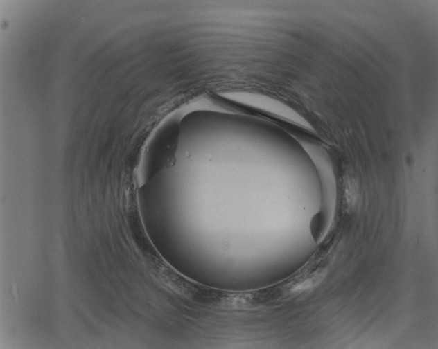 X0000066930080200603311402