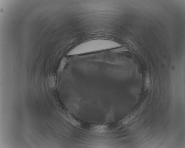 X0000066930081200603311402