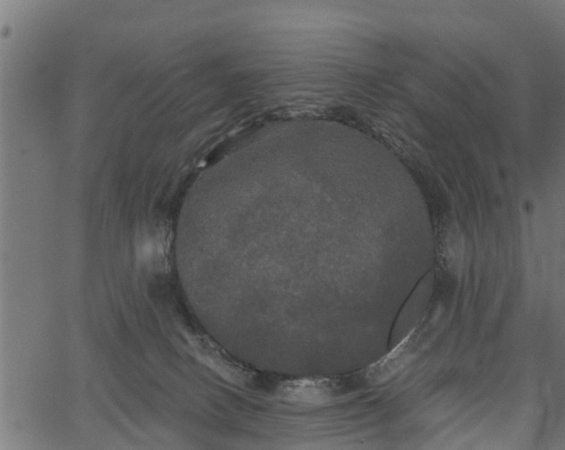 X0000066930082200603311402