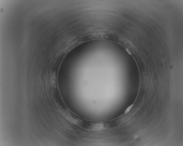 X0000066930083200603311403