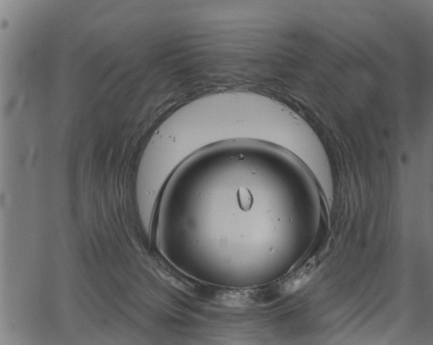 X0000066930084200603311403