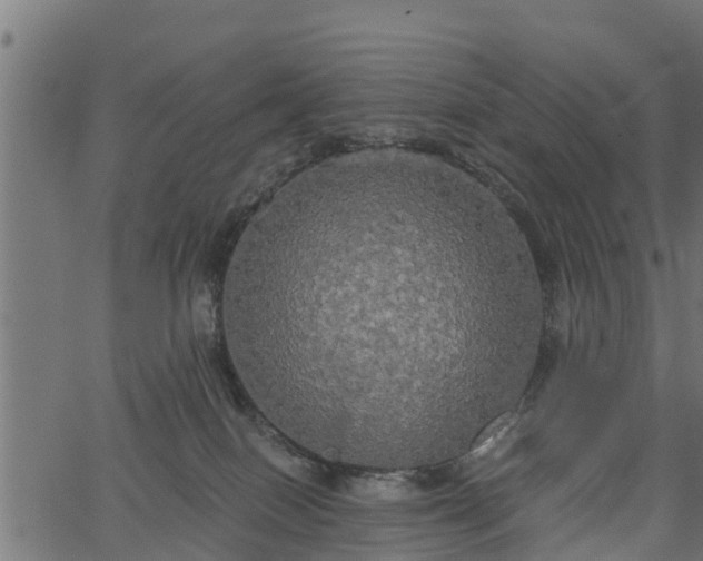 X0000066930086200603311403