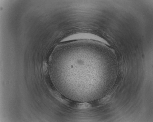 X0000066930087200603311403