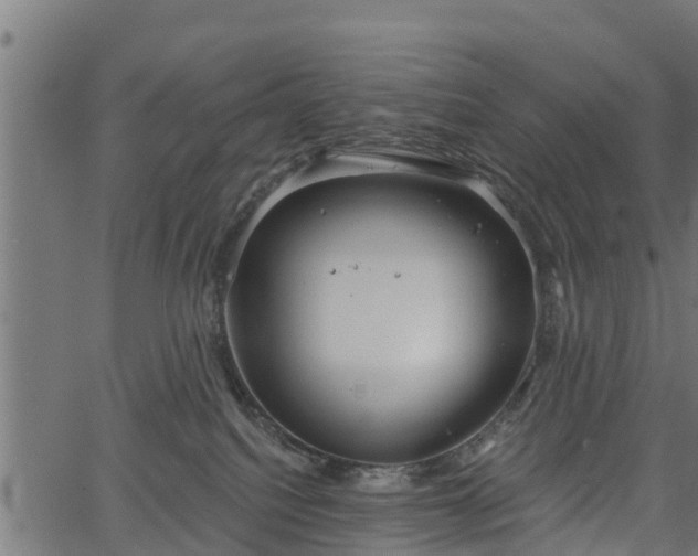 X0000066930088200603311403