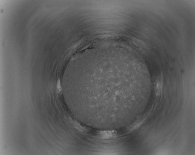 X0000066930089200603311403