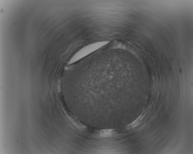 X0000066930090200603311403