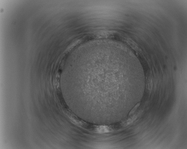 X0000066930091200603311403