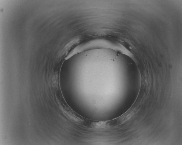 X0000066930092200603311403