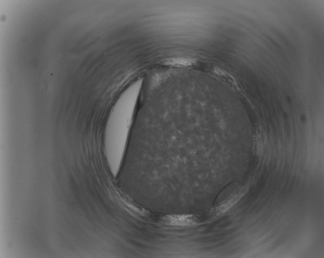 X0000066930093200603311403