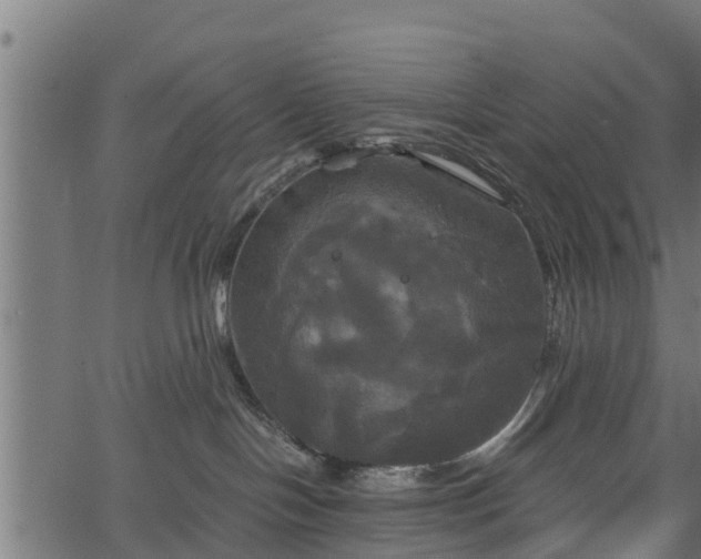 X0000066930094200603311403