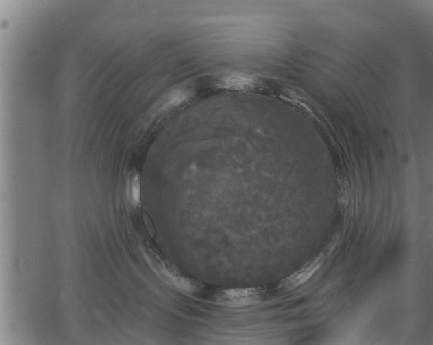 X0000066930095200603311403