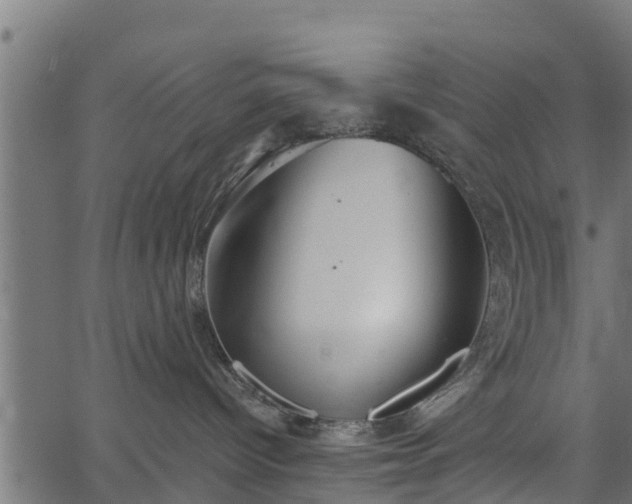 X0000066930096200603311403