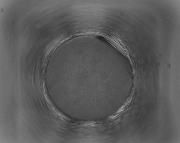 X0000066930097200603311402