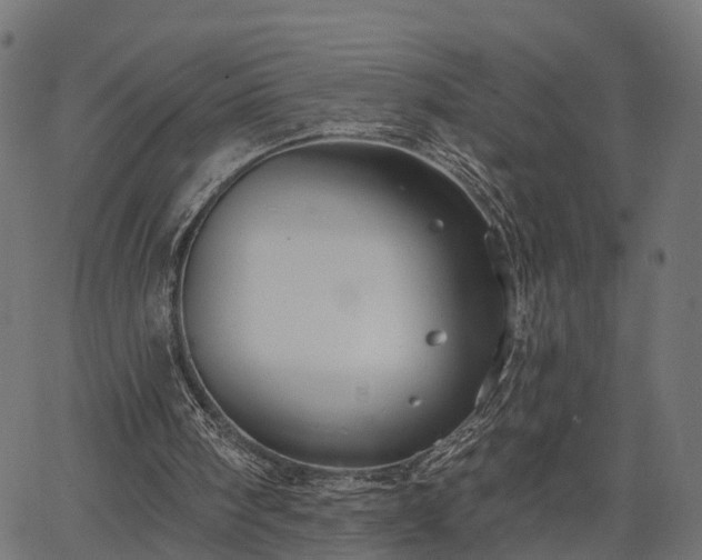 X0000066930098200603311402