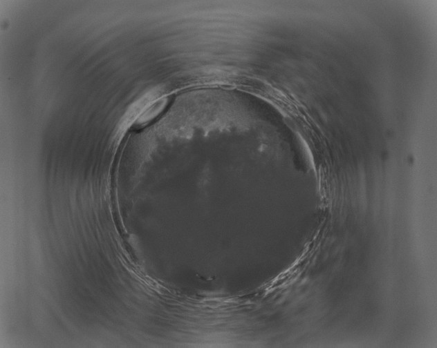 X0000066930099200603311402