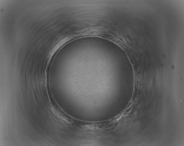 X0000066930100200603311402