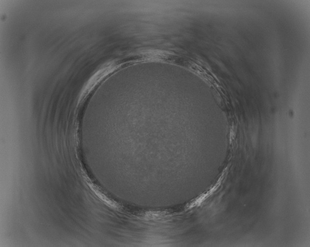 X0000066930101200603311402