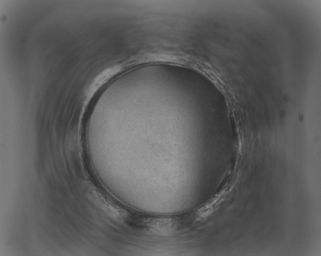 X0000066930104200603311402