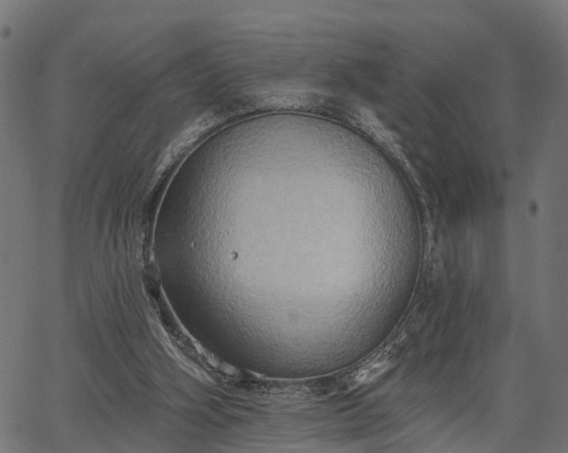 X0000066930106200603311402