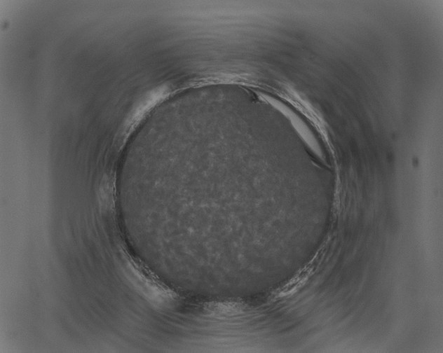 X0000066930107200603311402