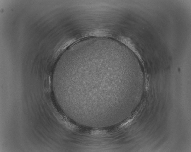 X0000066930109200603311402