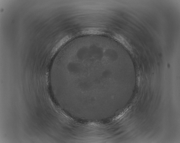 X0000066930111200603311402