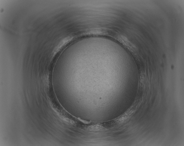 X0000066930112200603311402