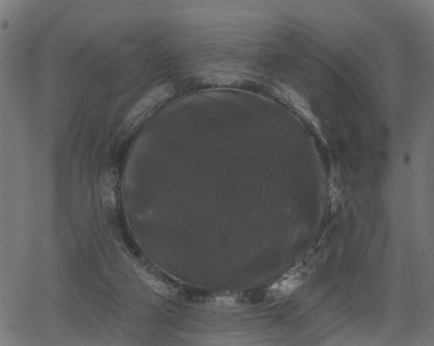 X0000066930114200603311402