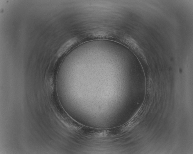 X0000066930116200603311402